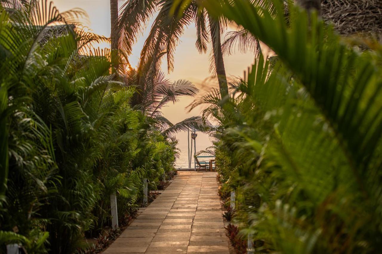 Agonda Shell Beach Resort Canacona Ngoại thất bức ảnh